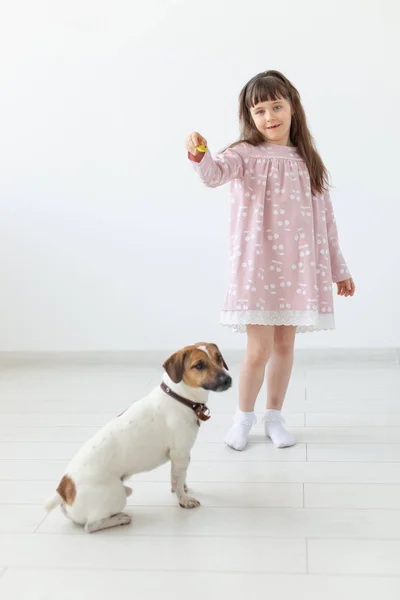 Animais de estimação, crianças e conceito de família - menina e seu filhote de cachorro jack russell no estúdio — Fotografia de Stock