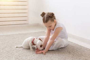 İnsanlar, Evcil hayvan ve hayvan kavramı - beyaz arka plan ve holding köpek yavrusu Jack Russell Terrier üzerinde katta oturan küçük kız