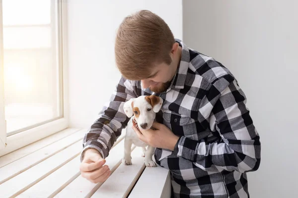 Concept de personnes, animaux et animaux - jeune homme étreignant Jack Russell terrier chiot près de la fenêtre sur fond blanc — Photo