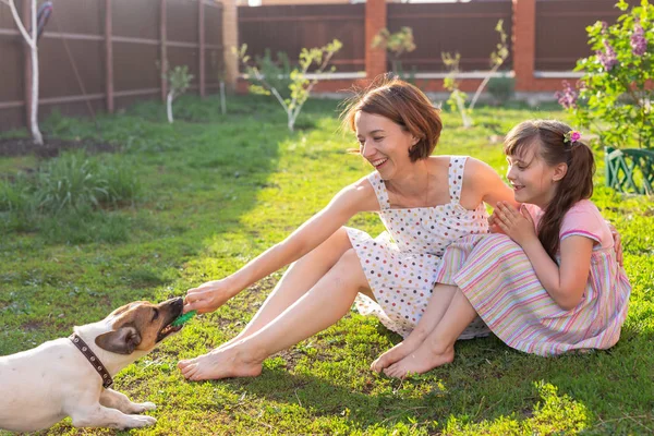 Liten flicka i rosa klänning med sin mor och Jack Russell Terrier hund på gården sitter på gräset — Stockfoto