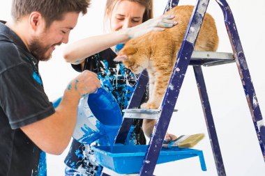 İnsanlar, yenileme ve onarım konsepti - kedi boya dökmek ile mutlu çift portresi