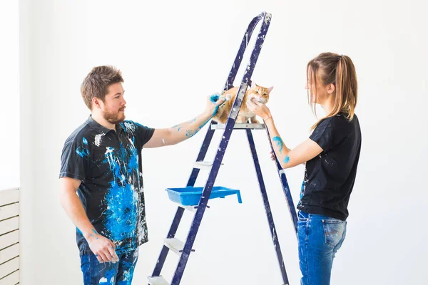 Pet, redecoration ve ilişki kavramı - Erkek ve kadın ressam, tasarımcı ve işçi duvar boyar. Kedi merdivende sonraki oturur ve iş bakar. — Stok fotoğraf