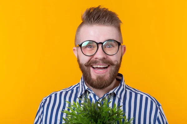 Örömteli vicces fiatal férfi, aki egy bankot növényekkel, sárga háttérrel. A Növénygondozás és a biogazdálkodás koncepciója. — Stock Fotó