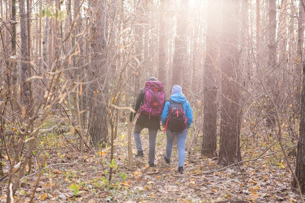 Путешествия, туризм, поход и концепция людей - пара с рюкзаками гуляет по осеннему лесу — стоковое фото