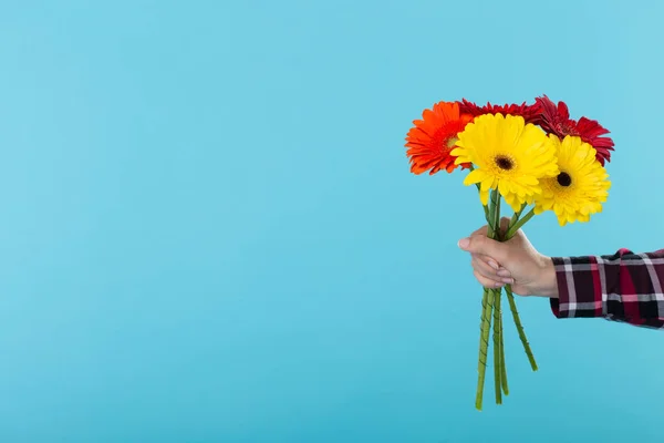 Ramo de flores de gerberas sobre el fondo azul con espacio para copiar —  Fotos de Stock