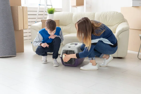 Magro jovem mãe e pequeno filho lançar seu belo cinza Scottish Fold gato em seu novo apartamento na sala de estar. O conceito de tradição com o aquecimento doméstico . — Fotografia de Stock