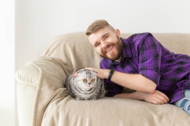 Şık genç sakallı adam hipster kanepede oturan onun güzel gri İskoç kat kedi okşayarak. Hayvan bakımı konsepti.