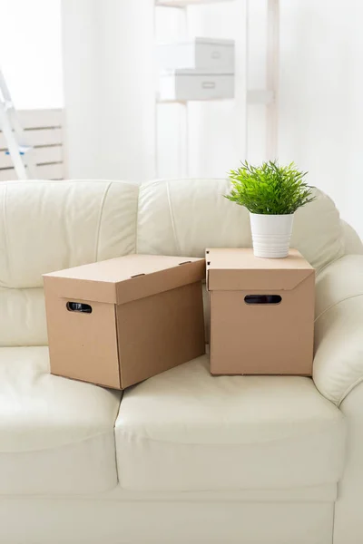 Kästen mit Sachen und eine Blume im Topf stehen beim Einzug der Bewohner in eine neue Wohnung auf der Couch. das Konzept des Hauskaufs und die Hektik des Umzugs. — Stockfoto