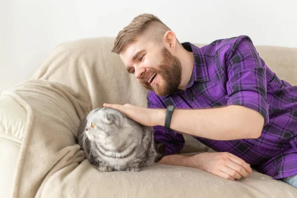 소파에 앉아 그의 아름다운 회색 스코틀랜드 접이식 고양이를 쓰다듬어 세련된 젊은 수염 남자 힙스터. 동물 관리 개념. — 스톡 사진