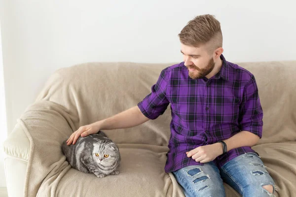 소파에 앉아 그의 아름다운 회색 스코틀랜드 접이식 고양이를 쓰다듬어 세련된 젊은 수염 남자 힙스터. 동물 관리 개념. — 스톡 사진