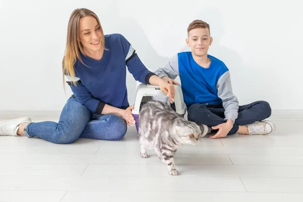 Mãe e filho com boa aparência positiva lançam seu belo gato escocês cinzento Fold em seu novo apartamento após a mudança. Acolhimento e conceito . — Fotografia de Stock