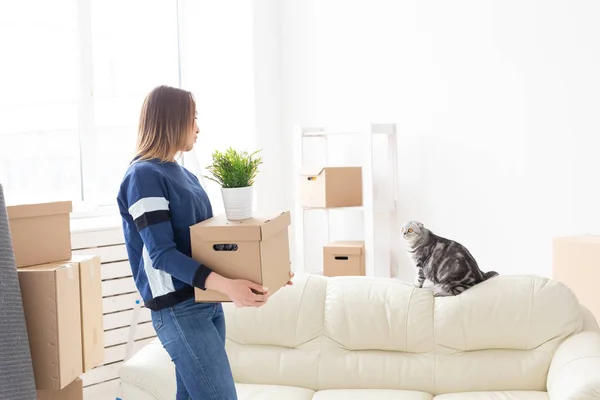 Encantadora jovem mulher solteira segura uma caixa com coisas enquanto se move enquanto está em um novo apartamento ao lado de seu gato escocês de orelhas lop cinza. O conceito de mudança e aquecimento doméstico . — Fotografia de Stock