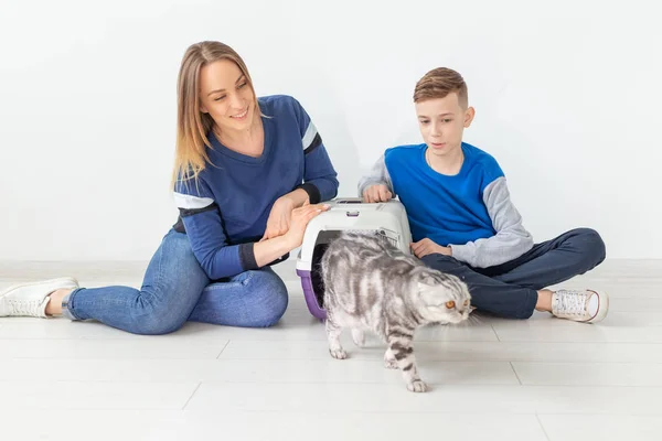 La madre y el hijo positivos y guapos lanzan su hermoso gato Fold escocés gris a su nuevo apartamento después de la mudanza. Concepto de inauguración . — Foto de Stock