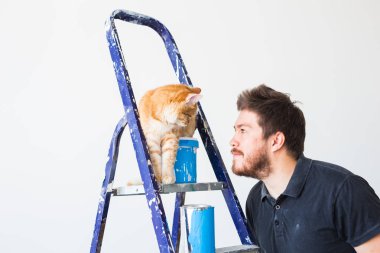 Yenileme, yeniden dekorasyon ve aile konsepti - Genç adam dairede yenileme sırasında bir kedi okşayarak