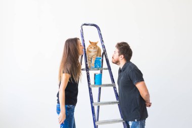Onarım, tadilat, evde beslenen hayvan ve sevgi çift kavramı - genç ailesi ile birlikte yaptığı onarım ve boya duvarlar ve gülerek kedi