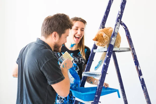 İnsanlar, tadilat ve yenileme kavramı - çift ile kedi dökmek boya portresi — Stok fotoğraf