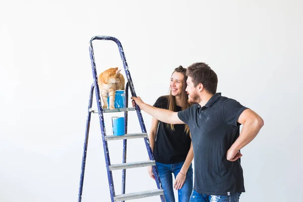Onarım, tadilat, evde beslenen hayvan ve sevgi çift kavramı - genç ailesi ile birlikte yaptığı onarım ve boya duvarlar ve gülerek kedi — Stok fotoğraf