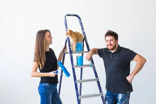 Άνθρωποι, διακοσμήσεις και σχέση έννοια - ζευγάρι αστείο γάτα κάνει ανακαίνιση σε νέο διαμέρισμα — Φωτογραφία Αρχείου