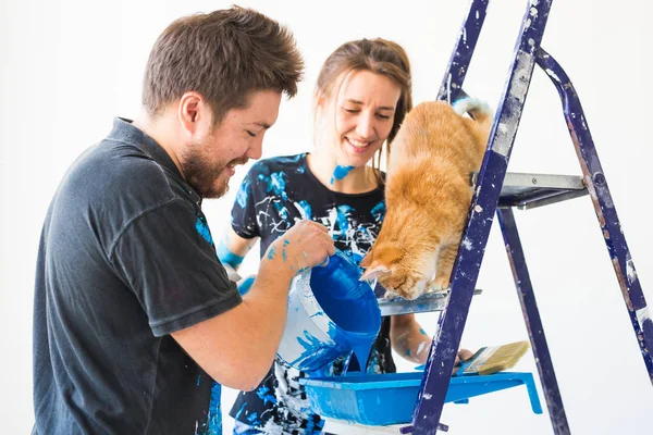 Mensen, renovatie en reparatie concept-portret van gelukkige paar met kat pour verf — Stockfoto