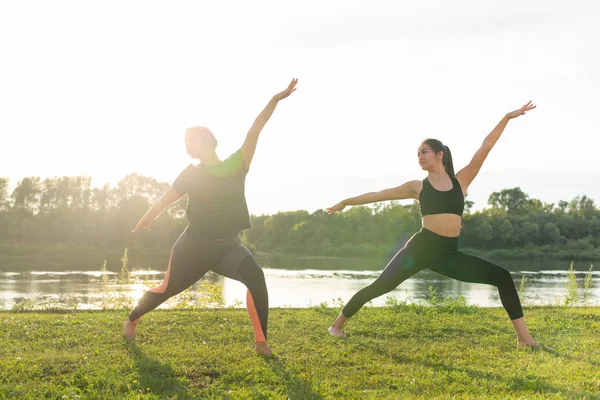 Sağlıklı yaşam tarzı ve insan kavramı - Esnek kadınlar yaz parkında yoga yapıyor