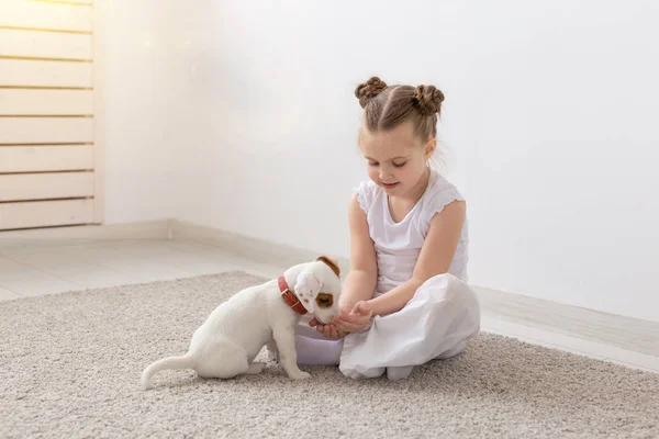 Crianças e conceito de animal - Filhote de cachorro com seu proprietário sentado no chão — Fotografia de Stock