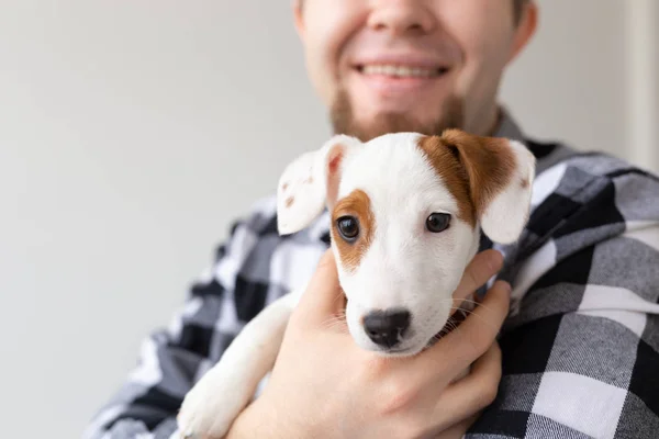 People and pet concept - Happy man holding a dog Jack Russell Terrier close up