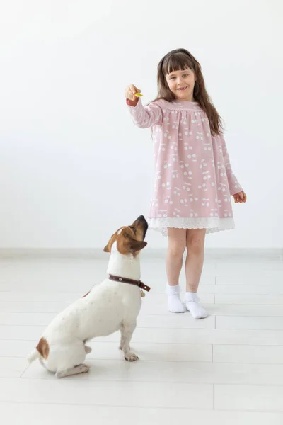 Niña positiva con un vestido rosa jugando y alimentando a su perrito Jack Russell Terrier sobre un fondo blanco. El concepto de animales y perros favoritos. Espacio de copia . — Foto de Stock