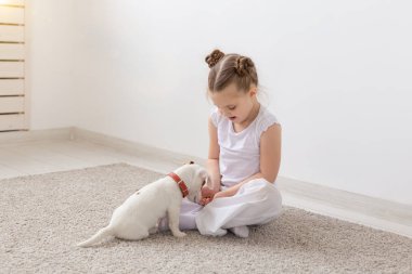 Çocuk ve hayvan kavramı - katta oturan onun sahibi ile köpek yavrusu