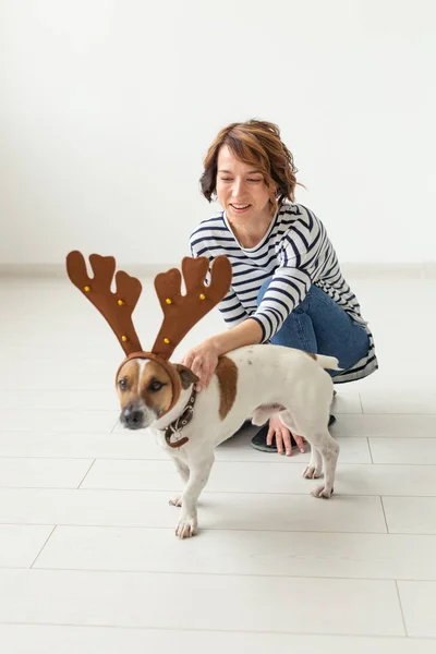 Huisdier, fun, Kerstmis en mensen concept-jonge vrouw spelen met grappige Jack Russell Terriër, het in een gewei — Stockfoto