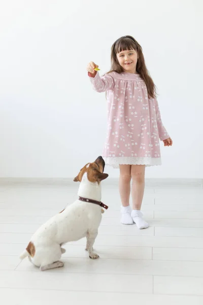 Husdjur, barn och familjekoncept-Little Girl och hennes valp Jack Russell på Studio — Stockfoto