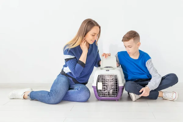 Positieve goed uitziende moeder en zoon lanceren hun mooie grijze Schotse fold Cat in hun nieuwe appartement na de verhuizing. Inwijdingsfeest concept. — Stockfoto