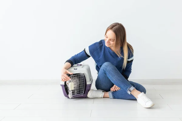 Mujer atractiva positiva y hermoso gato Fold gris escocés en su nuevo apartamento después de la mudanza. El calentamiento de la casa y el concepto de mascotas . — Foto de Stock