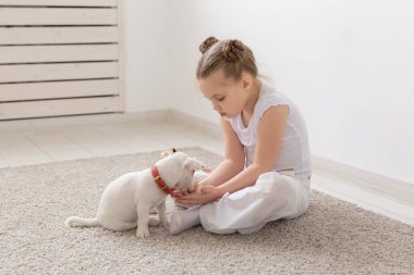 Çocuk ve hayvan kavramı - katta oturan onun sahibi ile köpek yavrusu