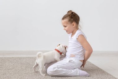 İnsanlar, Evcil hayvan ve hayvan kavramı - beyaz arka plan ve holding köpek yavrusu Jack Russell Terrier üzerinde katta oturan küçük kız