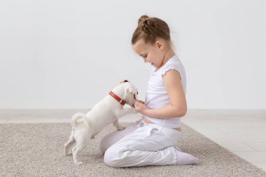 Evde beslenen hayvan, çocuk ve hayvan kavramı - kız çocuk katta oturan ve köpek yavrusu besleme