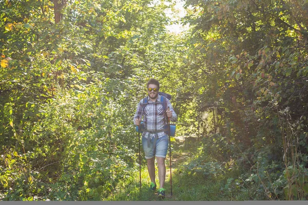 사람, 하이킹, 관광 및 자연 개념-숲에서 남자 — 스톡 사진