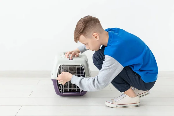 Riéndose niño positivo sostiene una jaula con un gato pliegue escocés al lado de él sentado en el suelo en un nuevo apartamento. Concepto de protección animal . — Foto de Stock