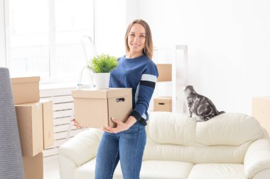 Büyüleyici genç bekar kadın onu gri lop kulaklı İskoç kedi yanında yeni bir dairede ayakta iken hareket ederken şeyler ile bir kutu tutar. Hareketli ve housewarming kavramı.
