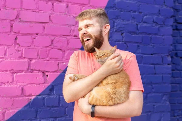 Amizade entre homem e gato no fundo da parede colorida ao ar livre — Fotografia de Stock