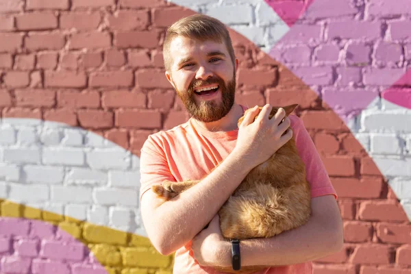 Amistad entre hombre y gato sobre fondo de pared colorida al aire libre — Foto de Stock