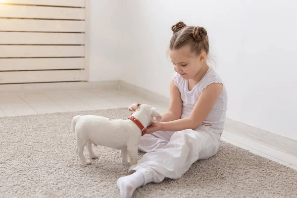 People, pets and animal concept - Little girl sitting on the floor over white background and holding puppy Jack Russell Terrier