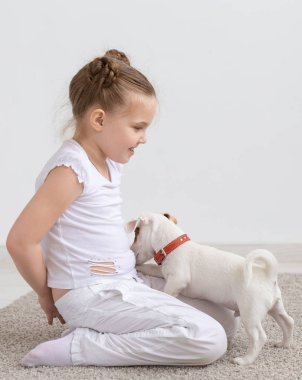 İnsanlar, Evcil hayvan ve hayvan kavramı - beyaz arka plan ve holding köpek yavrusu Jack Russell Terrier üzerinde katta oturan küçük kız