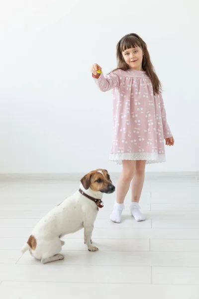 Husdjur, barn och familjekoncept-Little Girl och hennes valp Jack Russell på Studio — Stockfoto