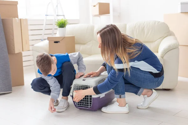 슬림 젊은 어머니와 작은 아들이 거실에서 자신의 새로운 아파트에 자신의 아름다운 회색 스코틀랜드 폴드 고양이를 시작합니다. 집들이와 전통의 개념. — 스톡 사진