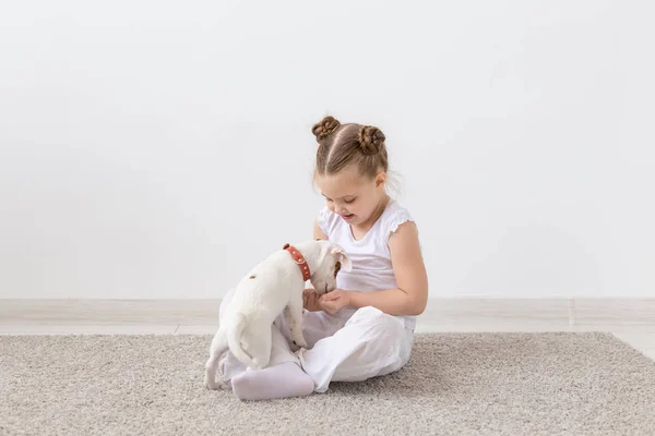 Pets owner, children and dogs concept - little girl sitting on the floor with cute Jack Russell Terrier puppy and playing — Stock Photo, Image