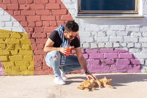 Amizade entre homem e gato no fundo da parede colorida ao ar livre — Fotografia de Stock
