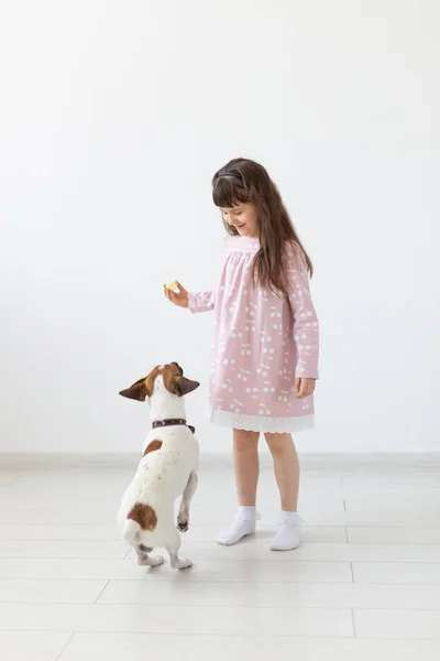 Menina alegre em um vestido azul brincando com seu amado cão Jack Russell Terrier. Conceito de amizade de crianças e cães. Espaço publicitário — Fotografia de Stock