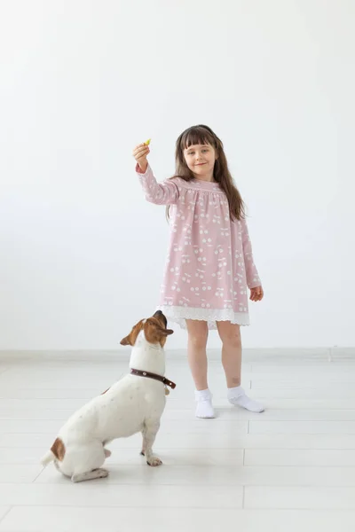 Mascotas, niños y concepto familiar - niña y su cachorro jack russell en el estudio — Foto de Stock