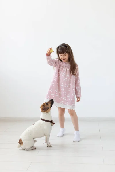 Menina alegre em um vestido azul brincando com seu amado cão Jack Russell Terrier. Conceito de amizade de crianças e cães. Espaço publicitário — Fotografia de Stock