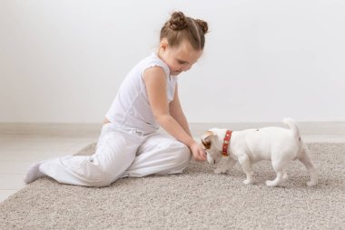 Evcil hayvan ve hayvan kavramı - Jack Russell Terrier köpekle oynayan kız çocuk